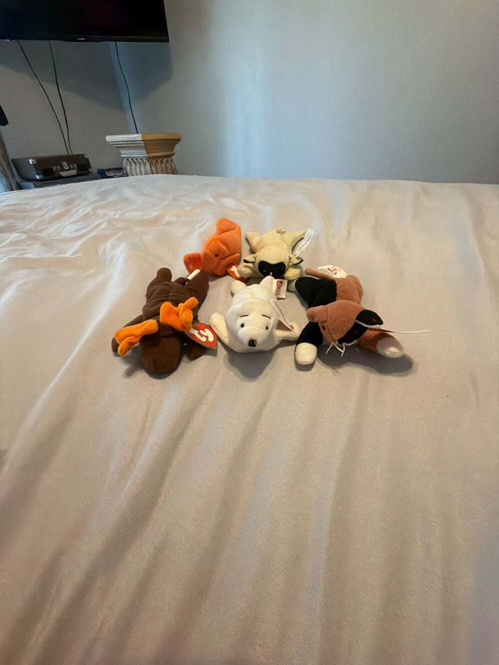 Lot of 5 Ty Teanie Beanie Babies Plush Stuffed Animals